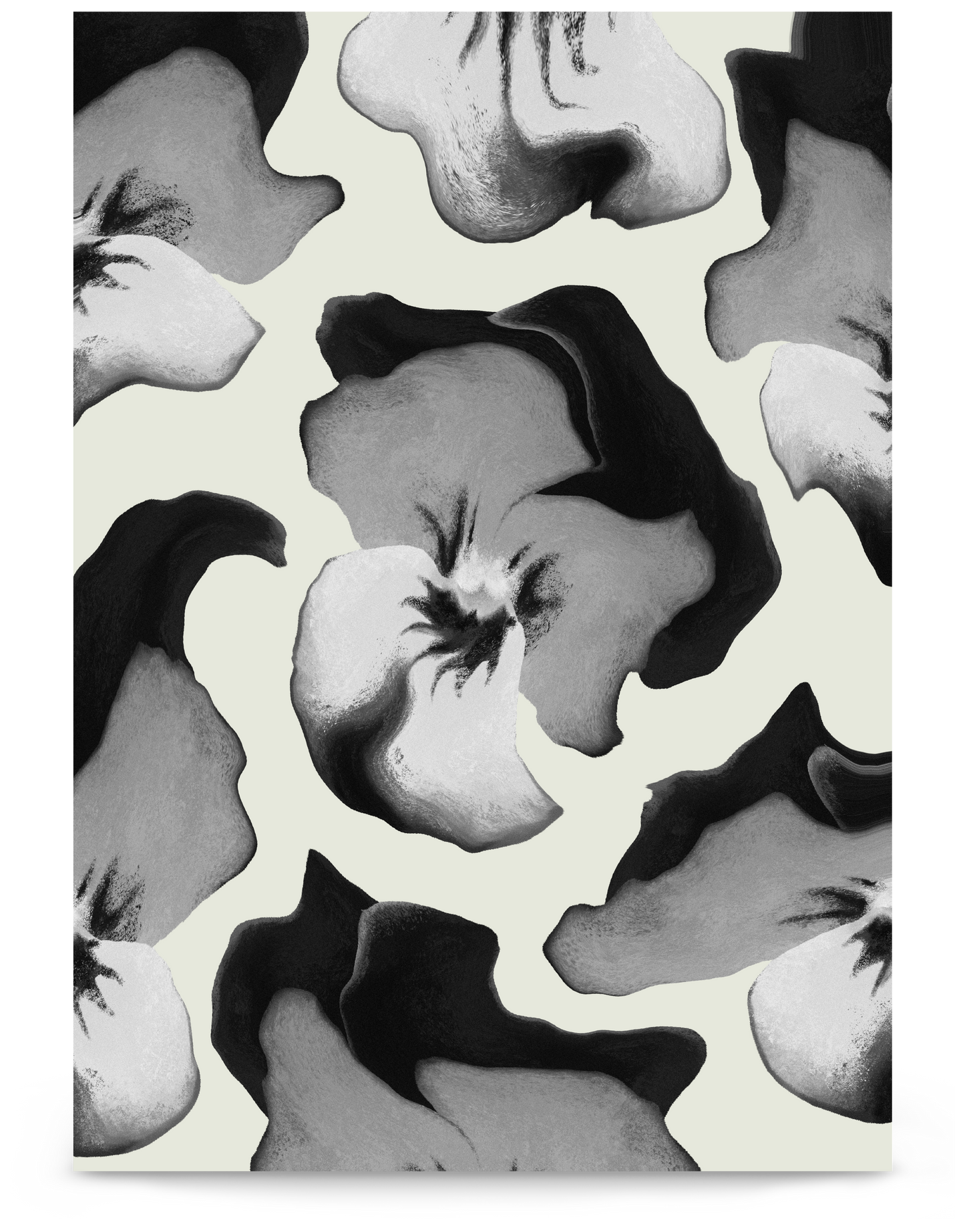 Pansies - Black & White