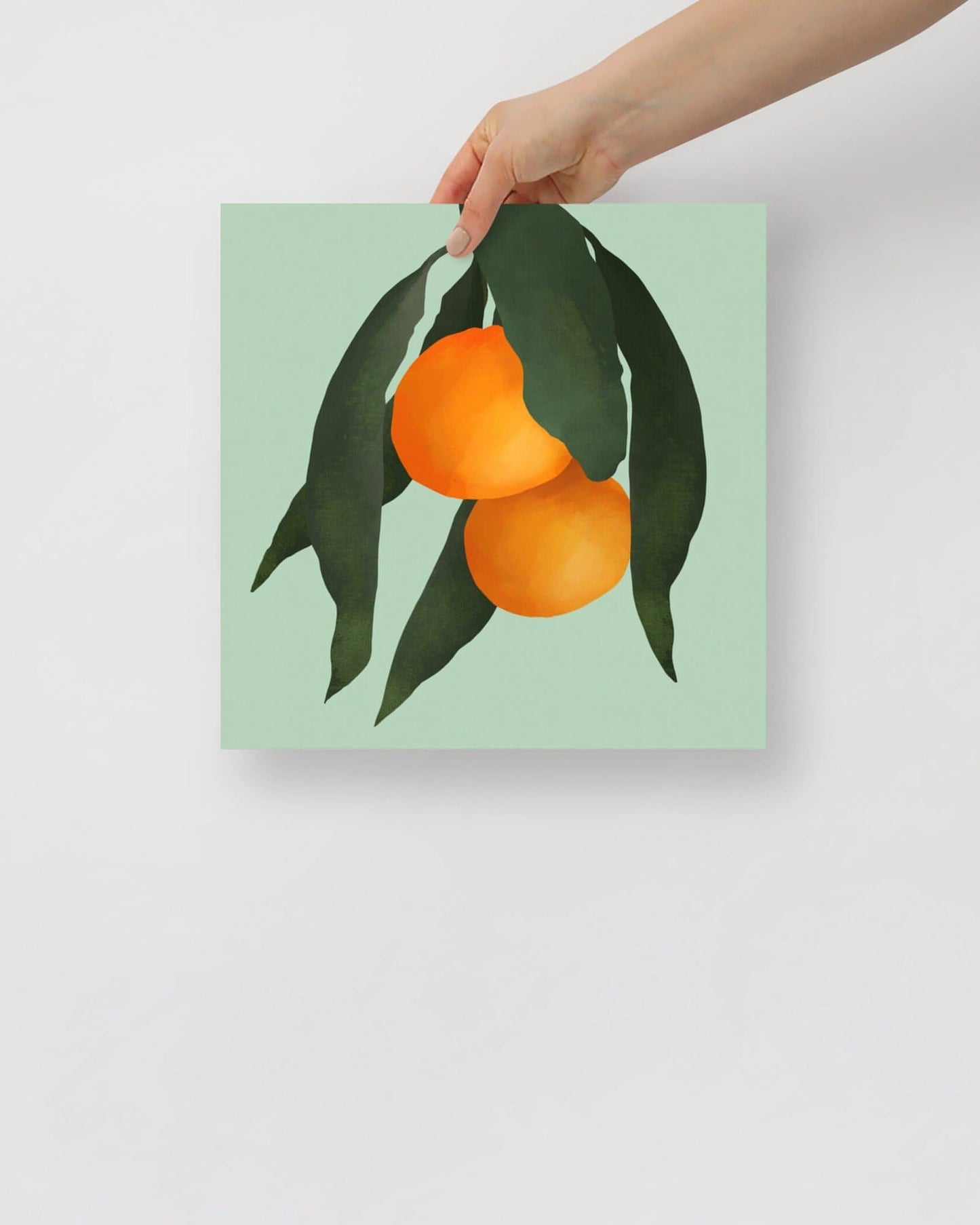 'Oranges - Green' 12×12 in (30.48cm) Fine Art Print with No Frame - Spilt Art by Melbourne Artist Eryn Levey