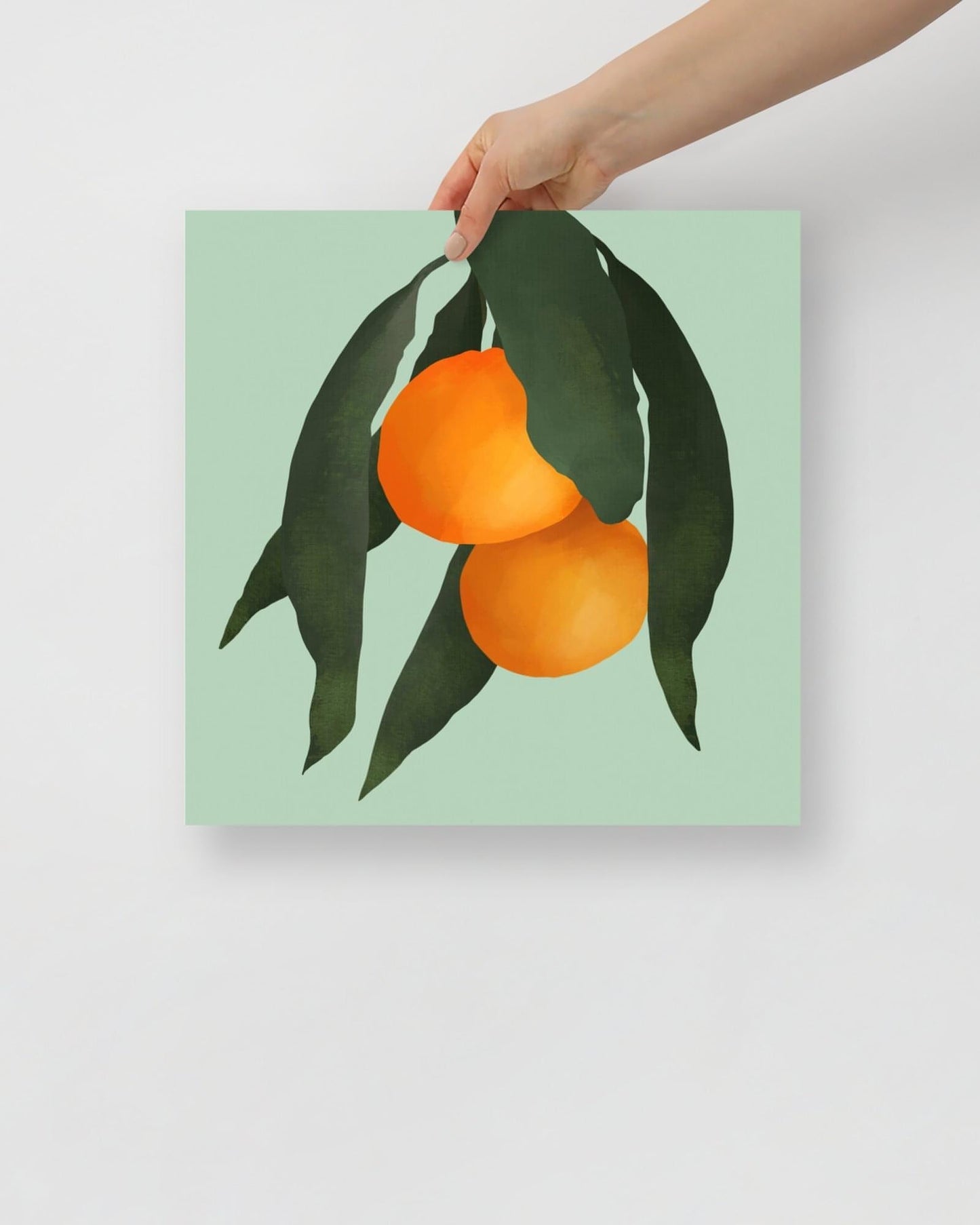 'Oranges - Green' 14×14 in (35.56cm) Fine Art Print with No Frame - Spilt Art by Melbourne Artist Eryn Levey