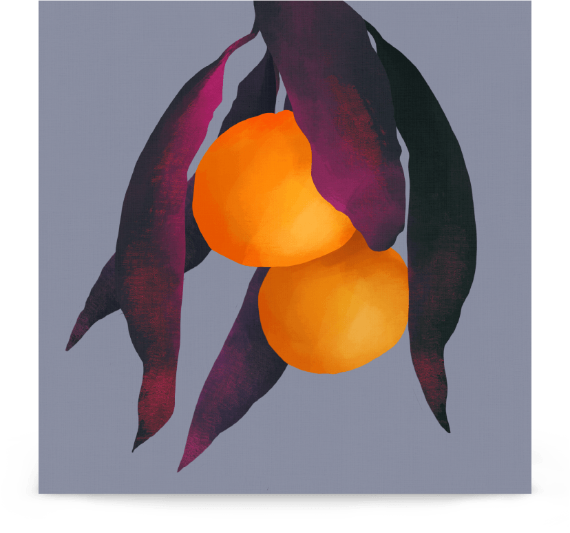 'Oranges - Purple' 14×14 in (35.56cm) Fine Art Print with No Frame - Spilt Art by Melbourne Artist Eryn Levey