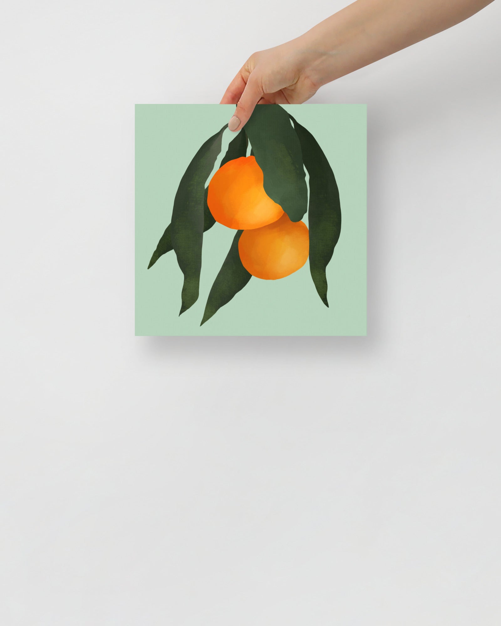 'Oranges - Green' 10×10 in (25.4cm) Fine Art Print with No Frame - Spilt Art by Melbourne Artist Eryn Levey
