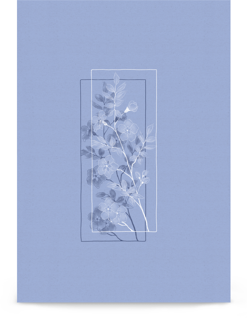 'Window Flower - Blue' 21×30 cm Fine Art Print with No Frame - Spilt Art by Melbourne Artist Eryn Levey